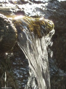 The Spring at Diamond Mountain