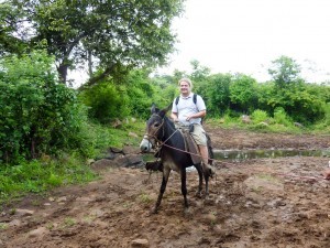 Nile on a mule, El Pavon, Matagalpa District, Nicaragua
